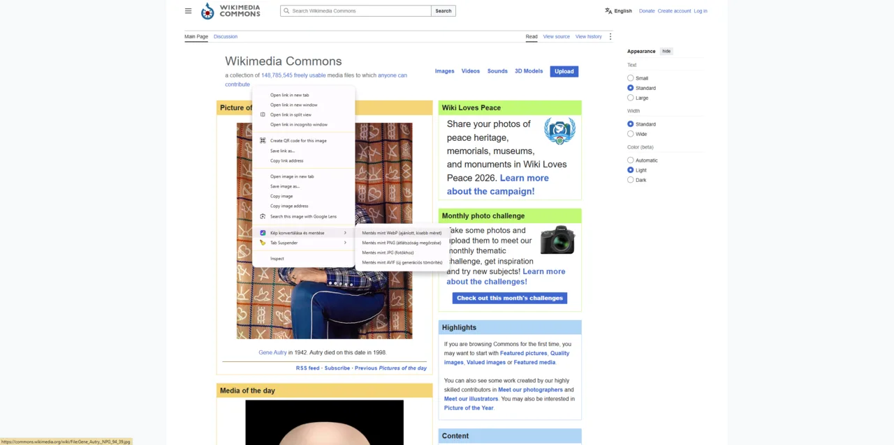 The right-click conversion menu of the Image Converter extension on any website